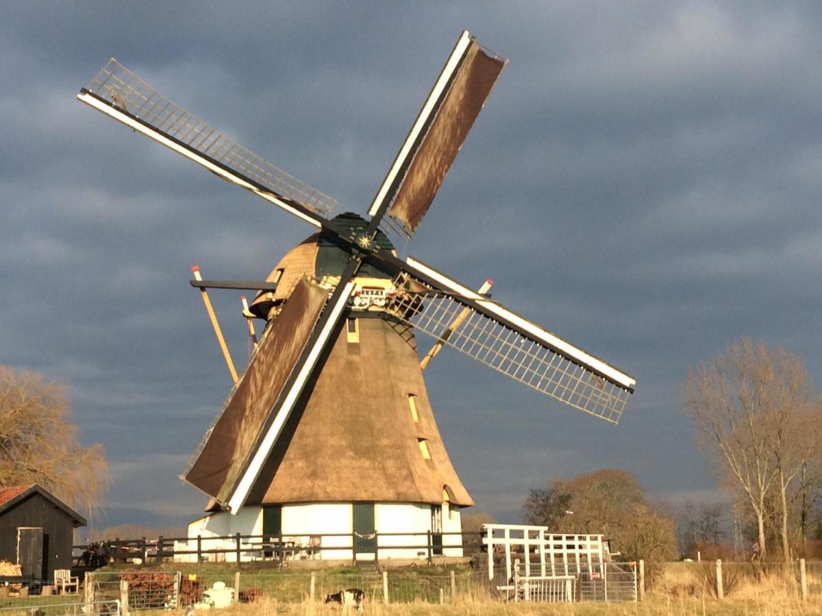 Mondriaanmolen, A Real Windmill Close To Amsterdam Abcoude Extérieur photo