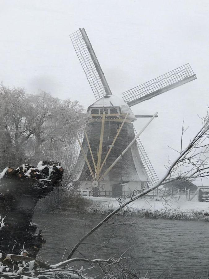 Mondriaanmolen, A Real Windmill Close To Amsterdam Abcoude Extérieur photo